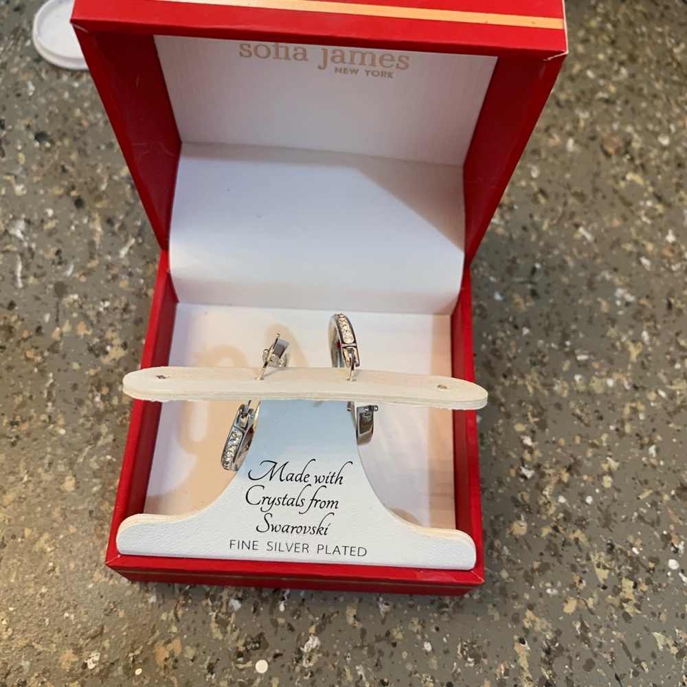 Earrings in silver